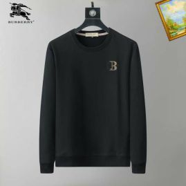 Picture of Burberry Sweatshirts _SKUBurberryM-3XL25tn8024848